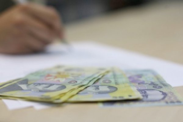 RAAN intenţionează să construiască o termocentrală cu o companie chineză